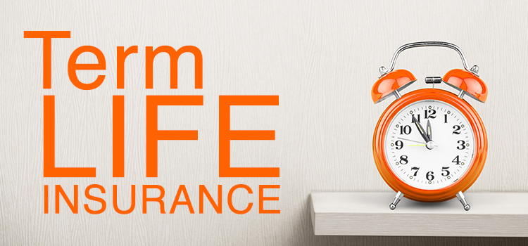 Term Life Insurance – Everything That You Need to Know to Get the Best Policy for Your Needs